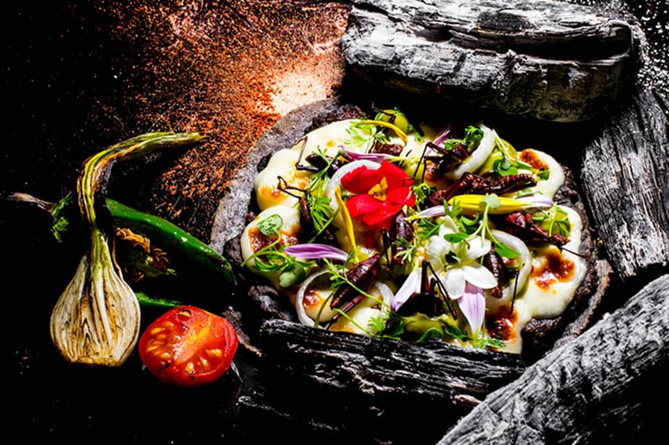 Gourmet appetizers on charred wood with vegetables and edible flowers on dark background