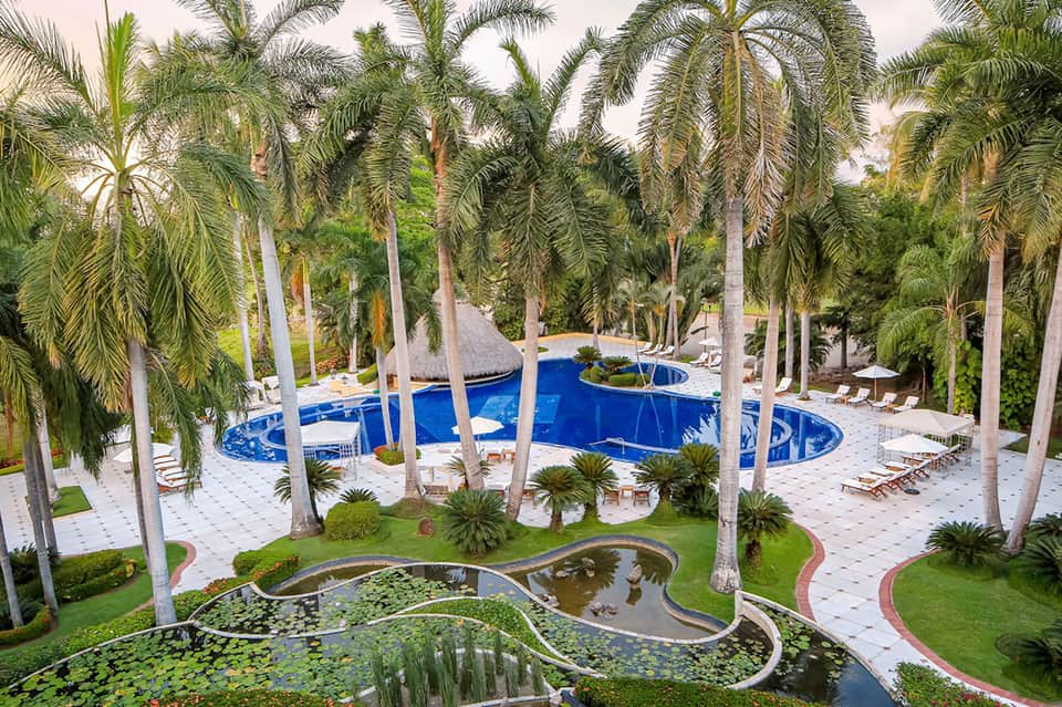 Aerial view of resort pool complex surrounded by tall palm trees and manicured landscaping