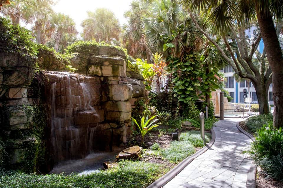 Tropical hotel garden pathway with stone water feature, palm trees, and lush vegetation