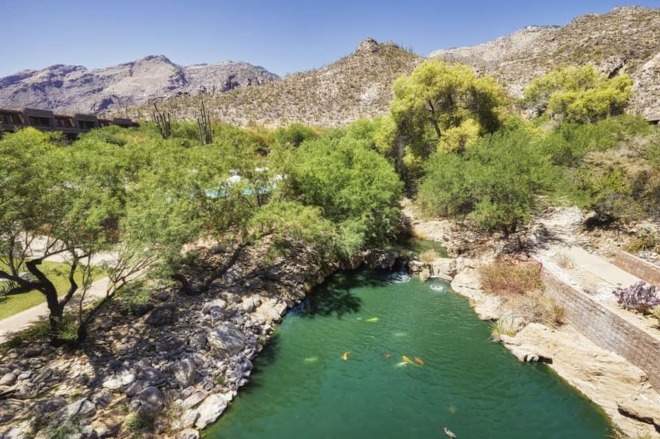 Natural hot springs oasis surrounded by desert mountains and vegetation