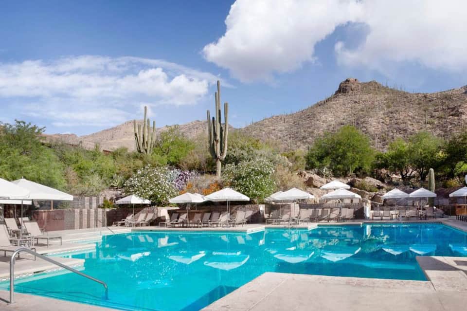 Resort pool surrounded by white umbrellas and lounge chairs with desert landscape and cacti backdrop