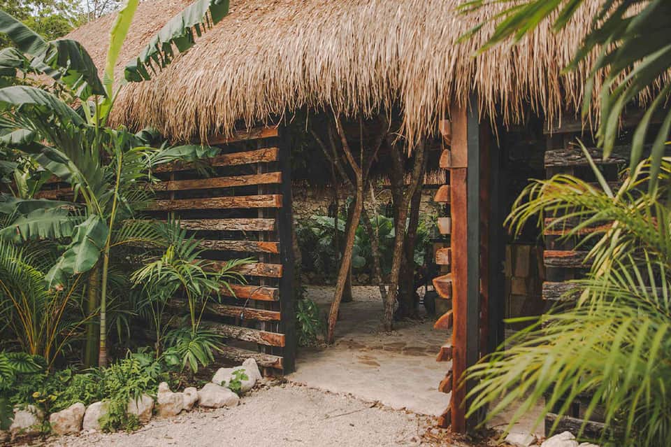 Rustic wooden bungalow with thatched roof and tropical vegetation surroundings