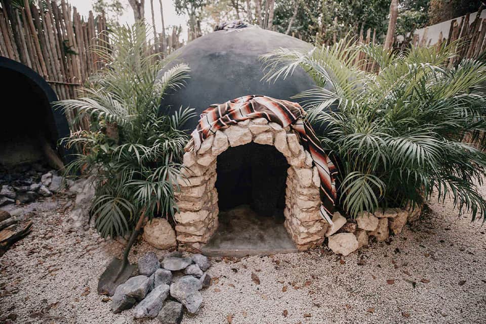 Unique stone turtle structure with dark shell dome in tropical garden setting