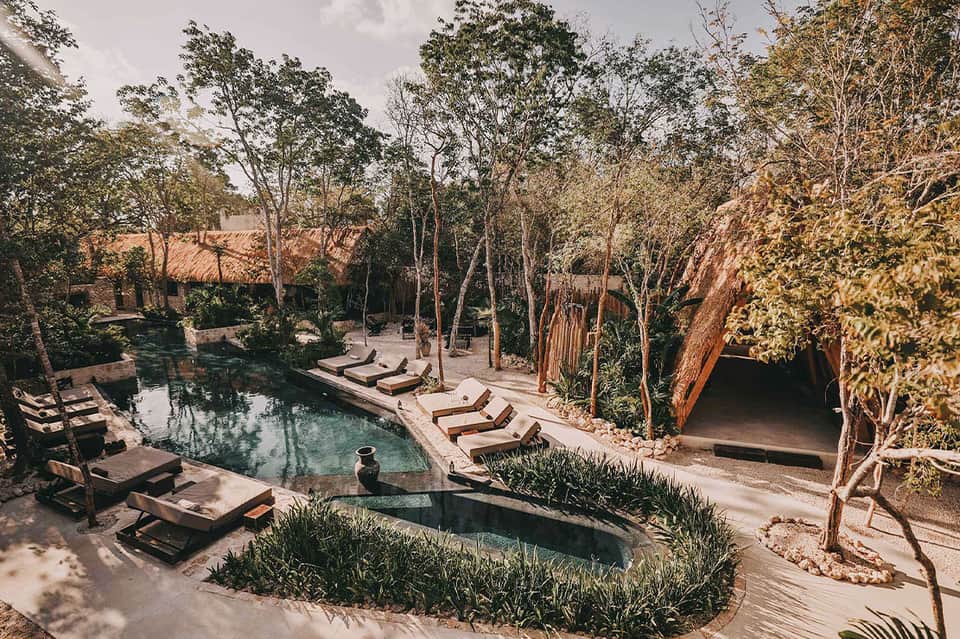 Natural pool surrounded by tall trees with lounge chairs and wooden deck