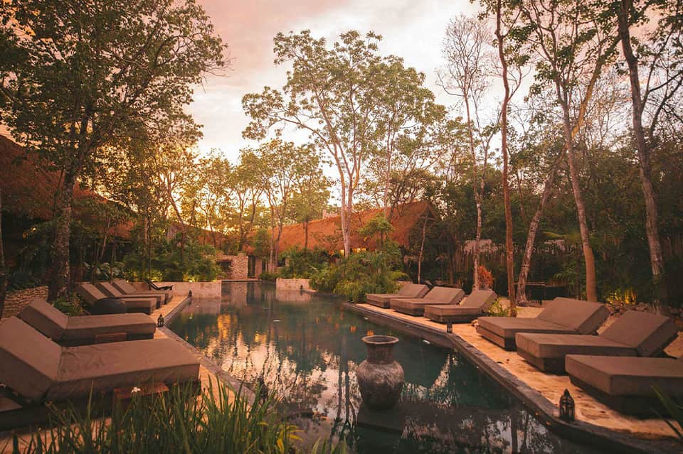 Natural hot spring pool surrounded by lounge chairs, tall trees, and rustic architecture at sunset