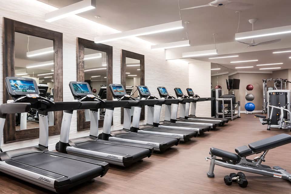 Modern hotel fitness center with rows of treadmills, large mirrors, and contemporary equipment