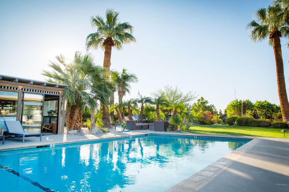 Resort swimming pool surrounded by palm trees with lounge chairs and manicured lawn under clear sky