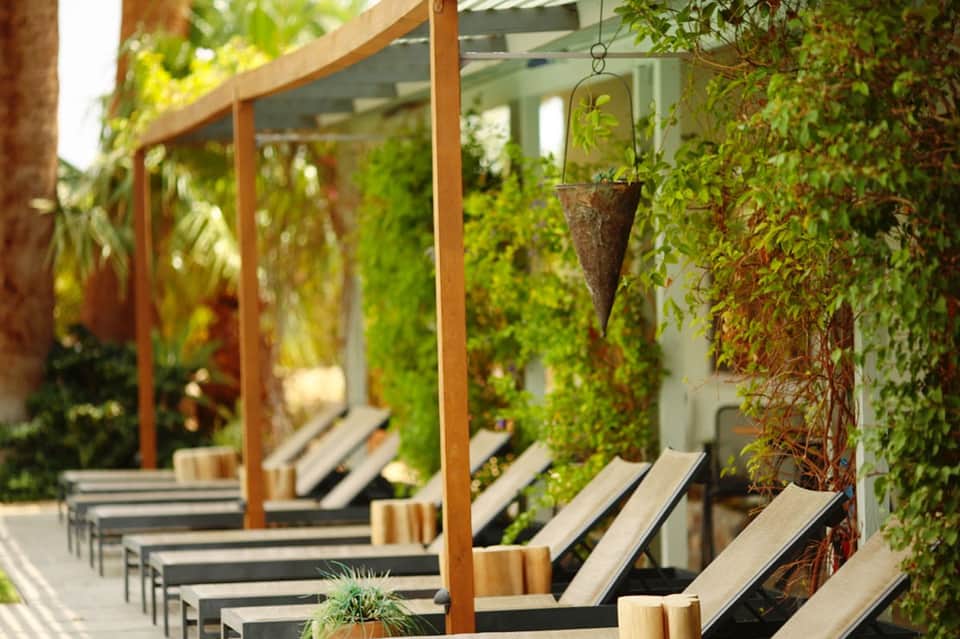 Outdoor pergola lounge with wooden beams, black loungers, and climbing ivy plants