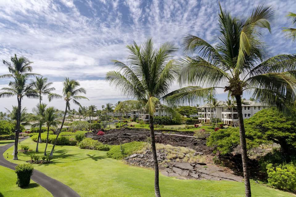 Lush tropical resort grounds with palm trees, manicured lawns, and white residential buildings on hillside
