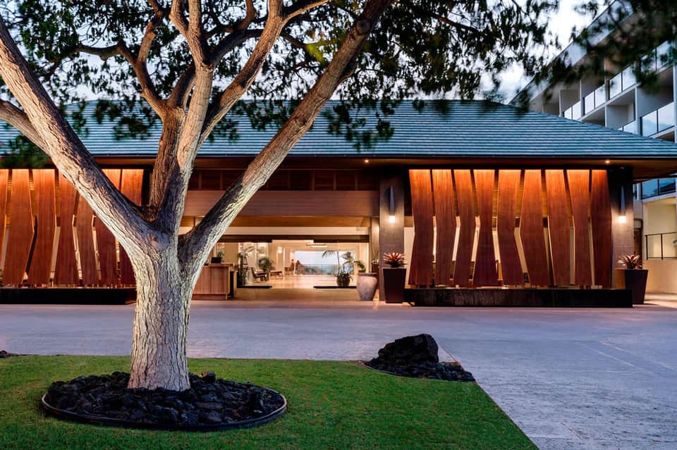 Contemporary hotel entrance with wooden slat doors and mature tree in plaza