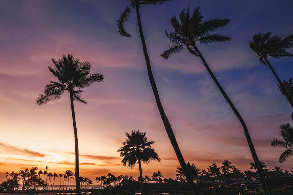Palm trees silhouetted against vibrant sunset sky with purple and orange hues