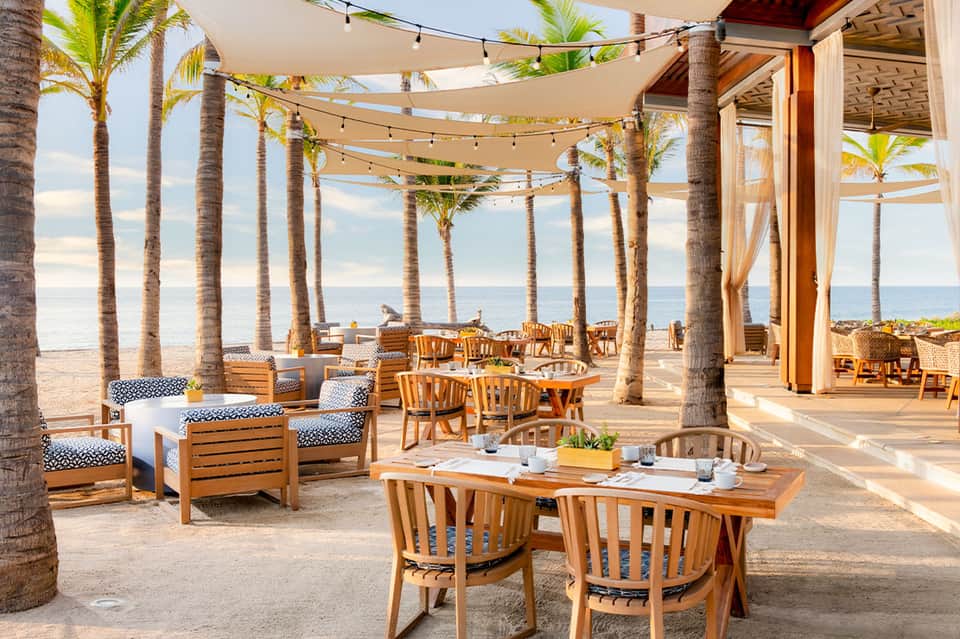 Beachfront dining area with palm trees, wooden furniture, string lights, and ocean view pergola