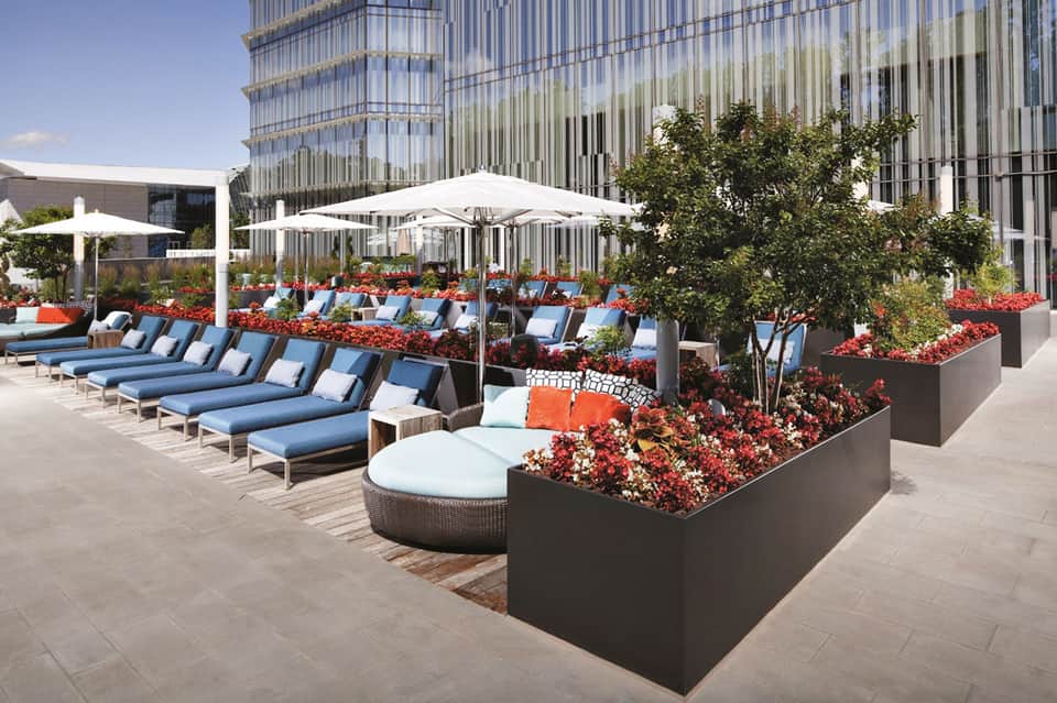 Rooftop terrace with blue lounge chairs, white umbrellas, red flowers, and modern glass building backdrop