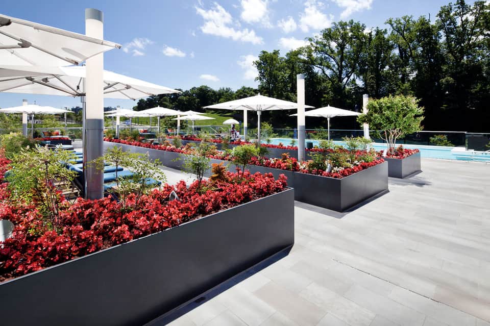 Luxury poolside terrace with white umbrellas, red flowering planters, and lounge seating under clear sky