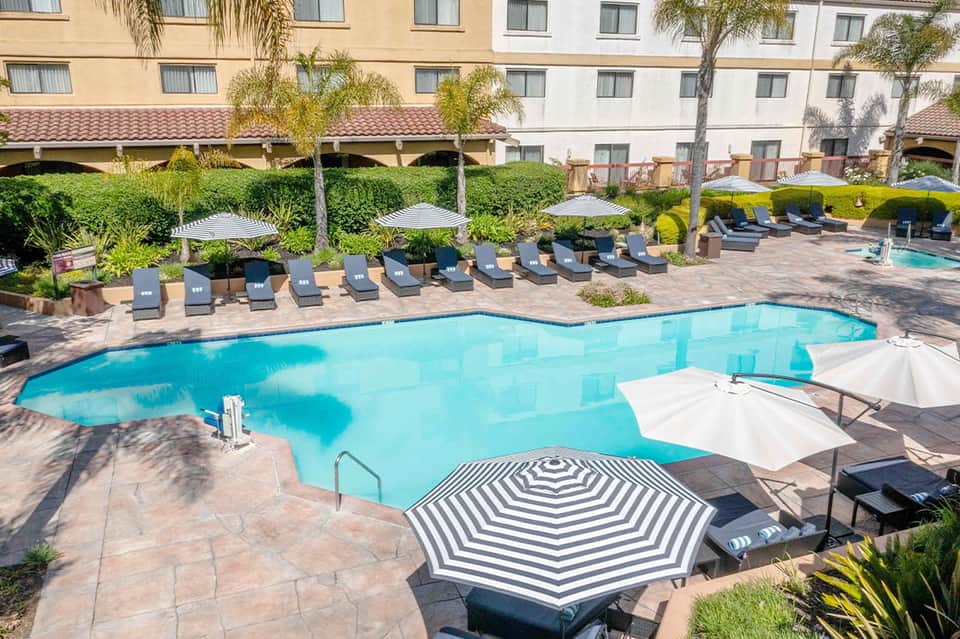Curved swimming pool surrounded by lounge chairs, umbrellas, and palm trees