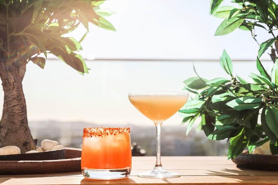 Two colorful cocktails on wooden table surrounded by potted plants with ocean view in soft daylight