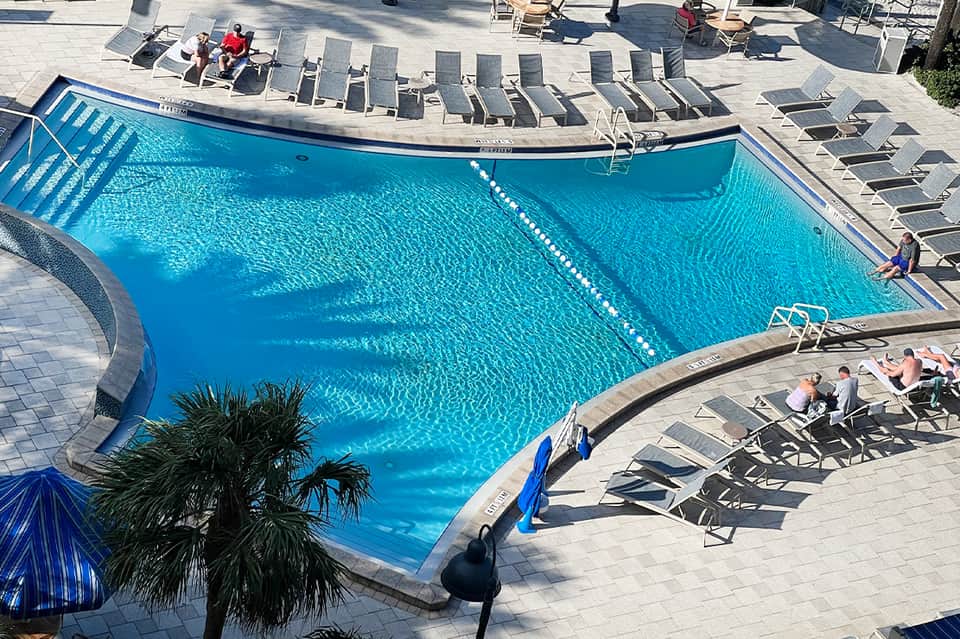 Large lap pool with blue water, lounge chairs, and palm trees from overhead view