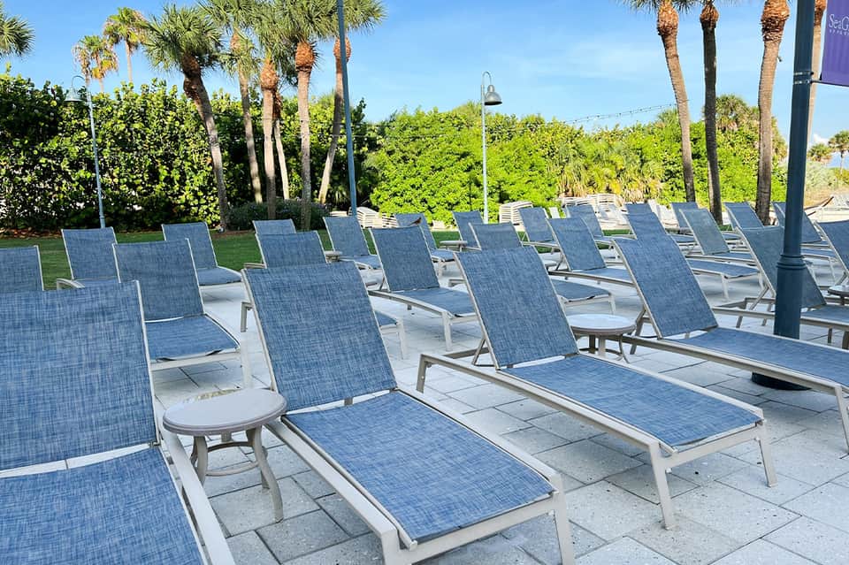 Multiple blue lounge chairs arranged on sunny patio with palm trees and vegetation