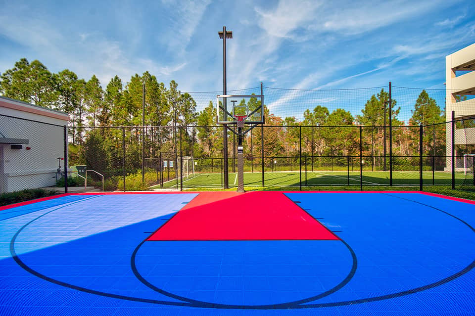Bright blue and red recreational basketball court with netting and surrounding forest