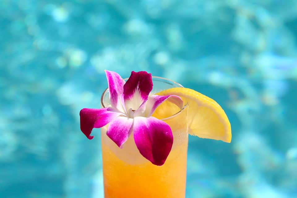 Tropical cocktail with vibrant magenta orchid flower garnish and blue water background