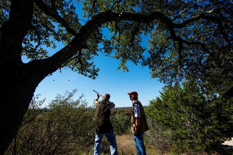 Two people birdwatching outdoors under large tree canopy in natural landscape with binoculars