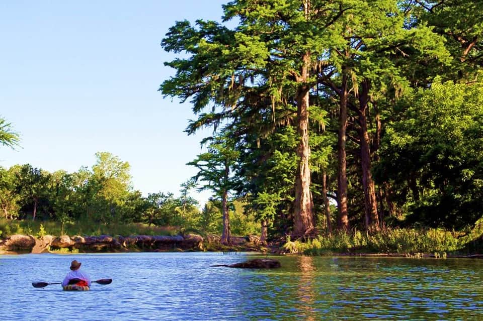Person kayaking on calm river with towering cypress trees and green forest in background