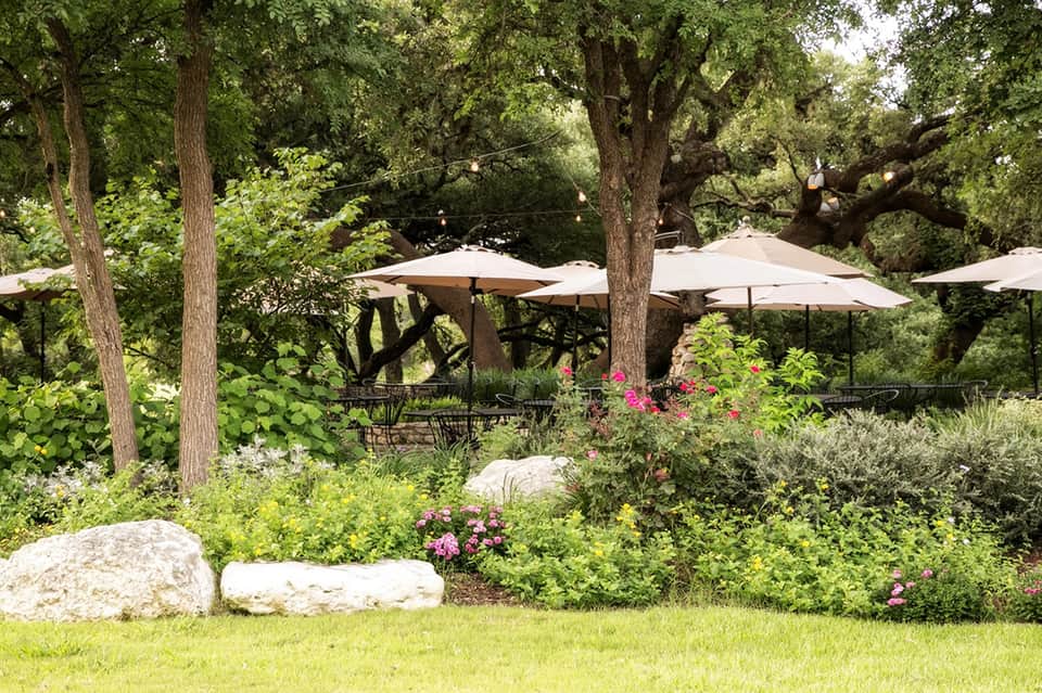 Shaded outdoor dining area under large oak trees with white umbrellas, tables, and pink flowering bushes