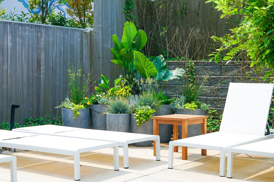 Modern patio with white lounge chairs and large potted plants against corrugated metal fence