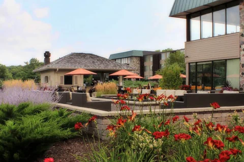 Resort courtyard with red flowers, orange umbrellas, modern building, and lavender plantings