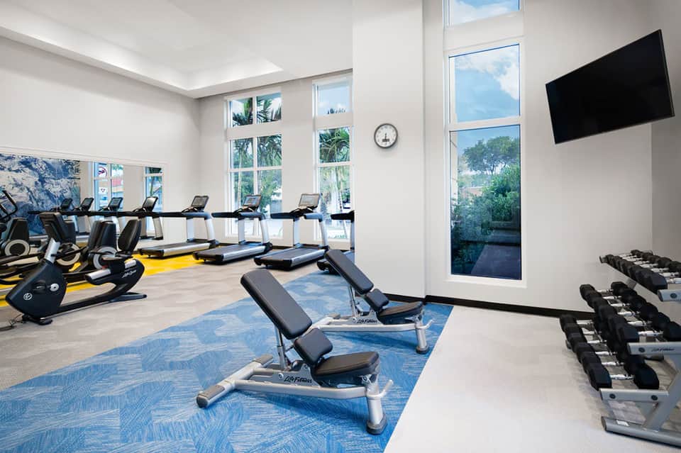 Modern fitness center with rows of cardio equipment, weights, and floor-to-ceiling windows