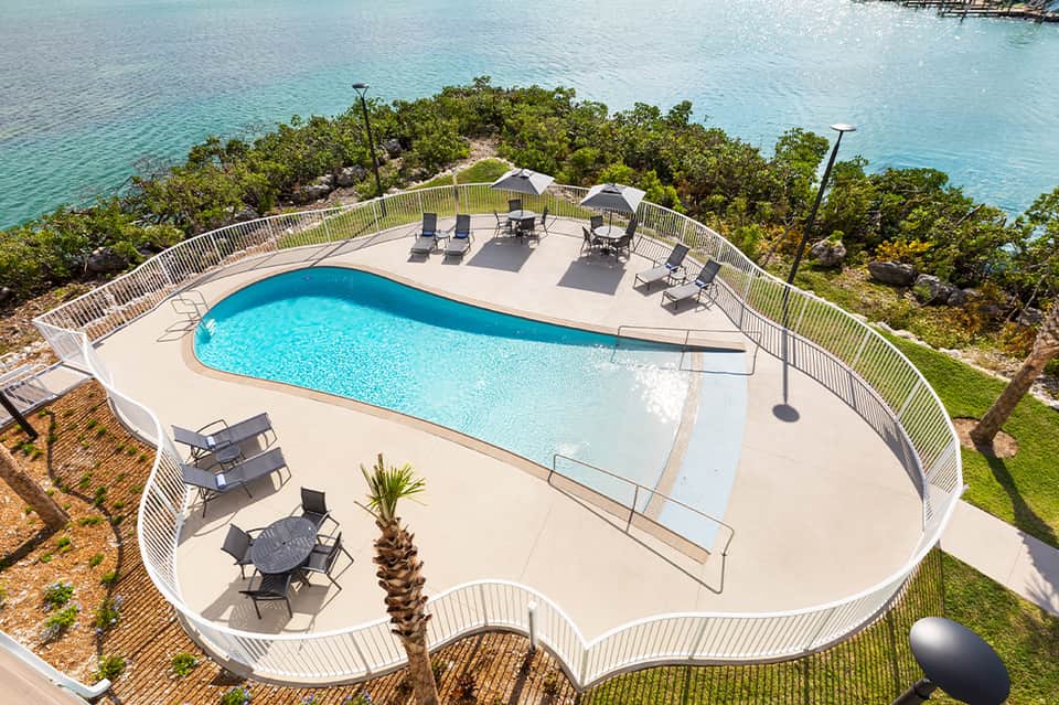 Curved pool overlooking turquoise ocean water with lounge chairs and palm trees