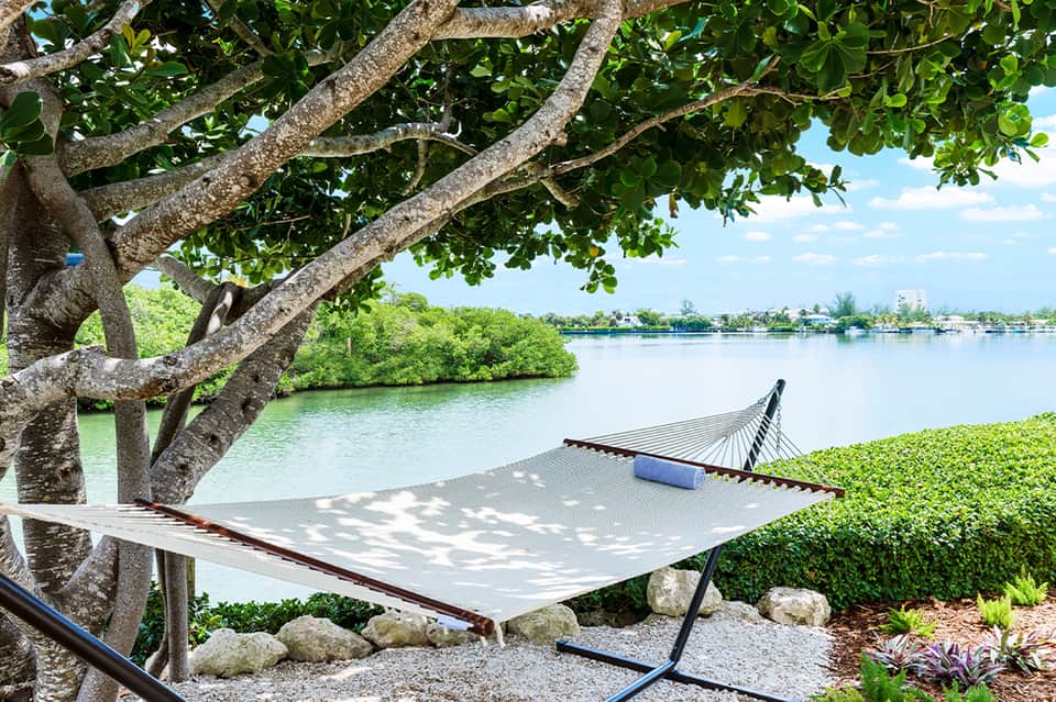Hammock under large tree overlooking calm waterway and mangroves