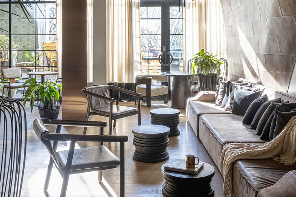 Contemporary lounge with modern seating, floor-to-ceiling windows, and indoor plants