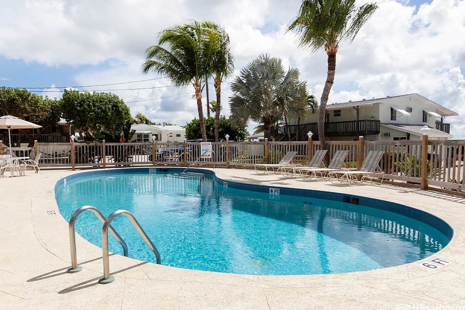 Kidney-shaped pool with wooden fence, palm trees, lounge chairs, and residential buildings