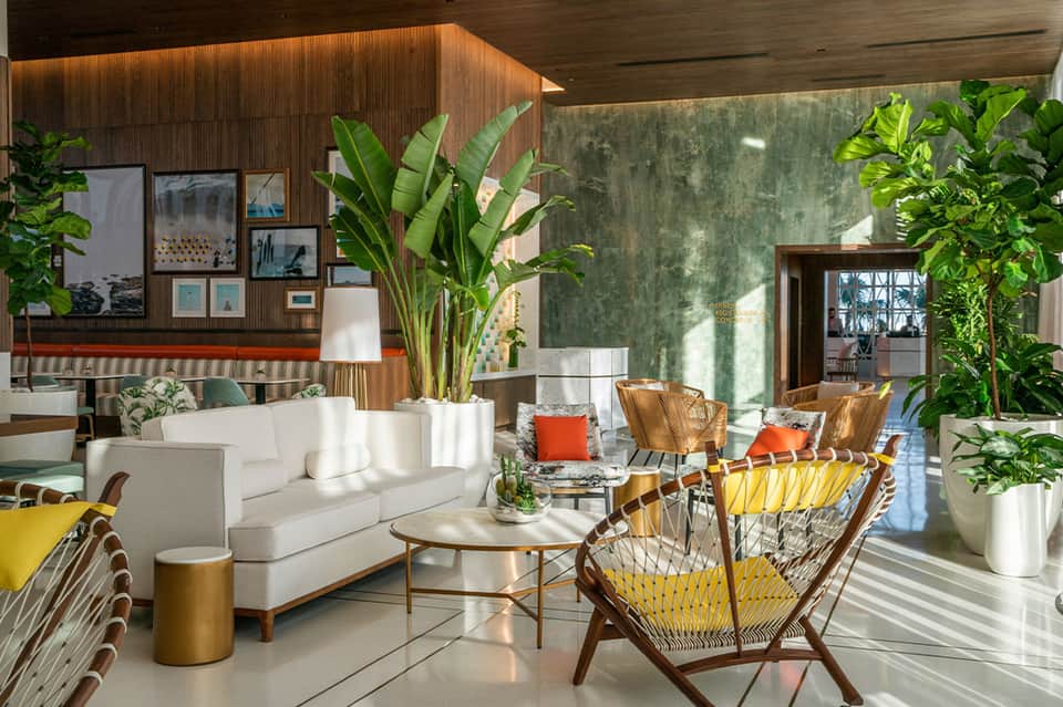 Botanical lobby lounge with white sofa, tropical plants, woven chairs, and natural light
