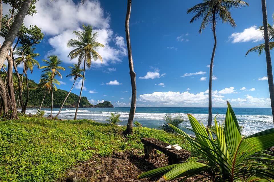 Tropical beach with palm trees, turquoise waves, lush green vegetation, and sandy shore under blue sky
