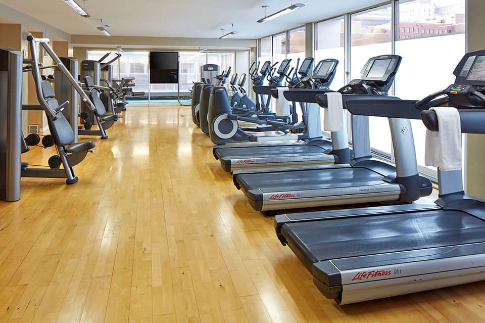 Fitness center with rows of treadmills, ellipticals, and cardio equipment facing windows
