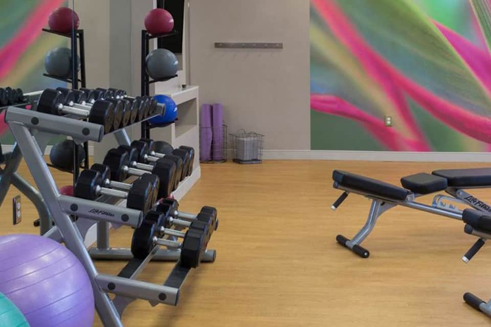 Modern fitness facility with dumbbells, exercise equipment, and vibrant pink-green accent wall