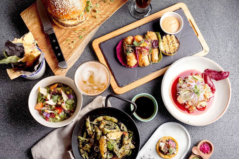Overhead view of gourmet dishes including ceviche, grilled vegetables, and plated appetizers
