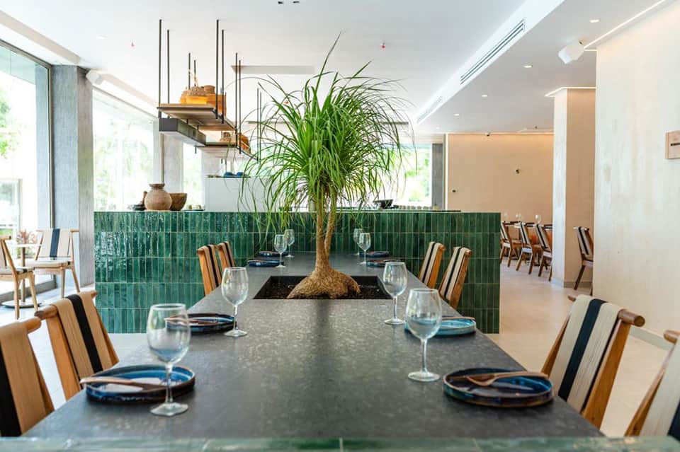 Modern dining room with green tile accent wall, striped wood chairs, large living plant centerpiece, and bright windows