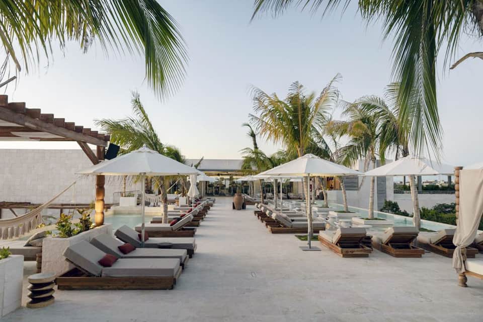 Luxury beachfront lounge deck with white umbrellas, cushioned lounge chairs, and palm trees lining walkway