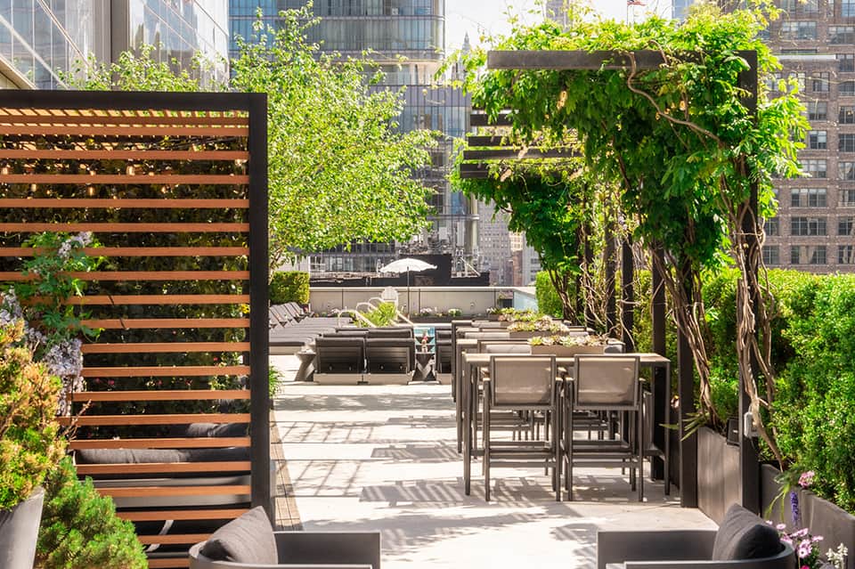 Rooftop terrace with green ivy-covered pergola, dining table, lounge seating, and city skyline views