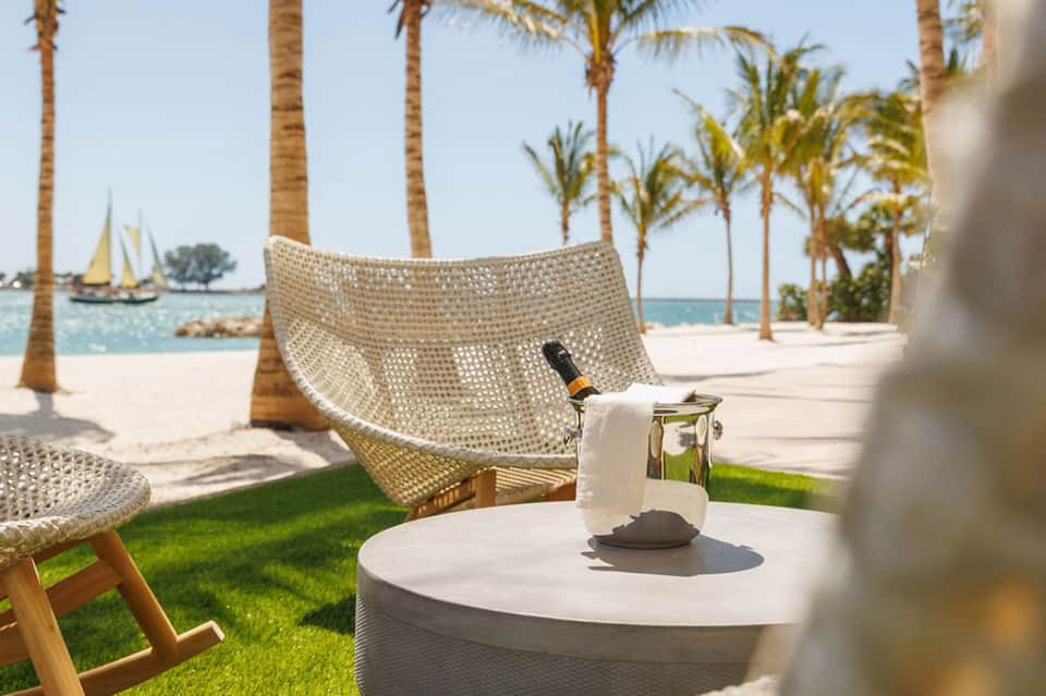 Beachfront hammock with wine bottle and ocean view surrounded by palm trees