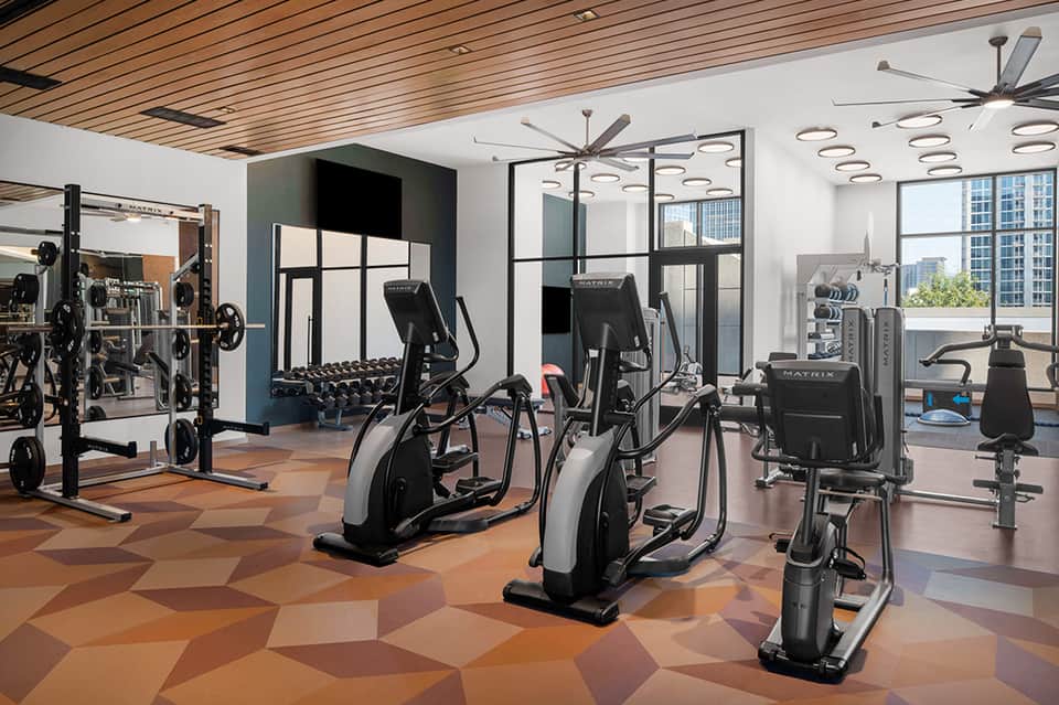 Modern gym with cardio equipment, free weights, and floor-to-ceiling windows