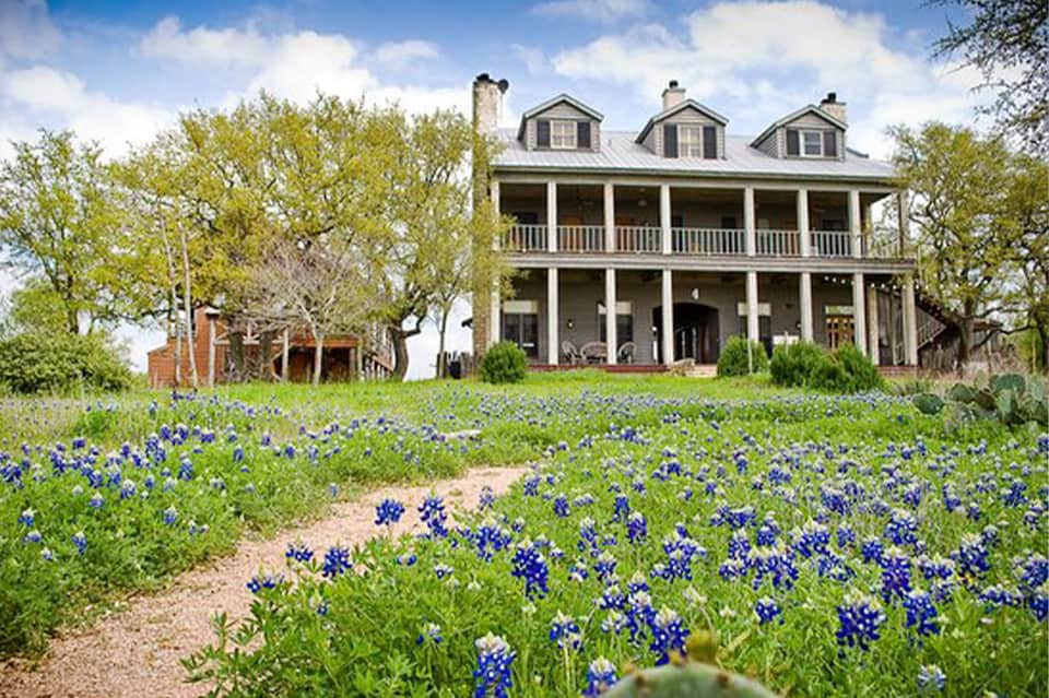 Historic farmhouse with wraparound porch surrounded by blooming blue wildflowers