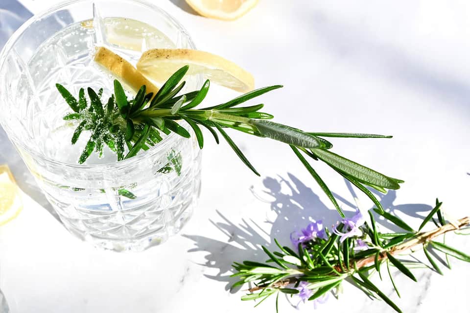 Clear cocktail garnished with lemon slice and fresh rosemary sprig on white surface
