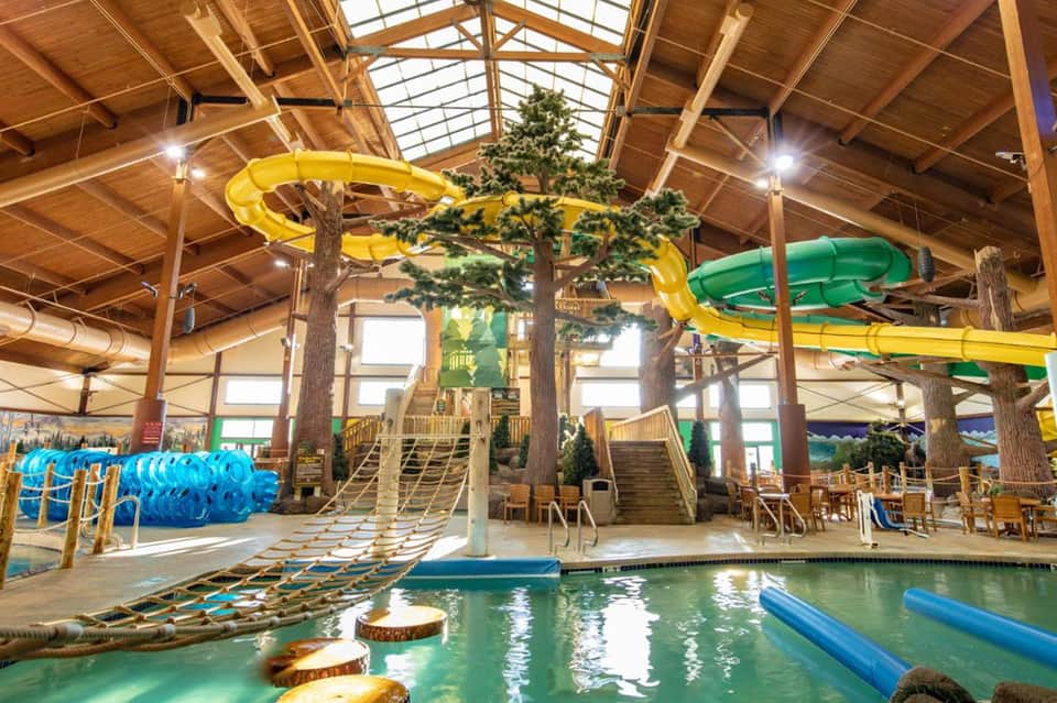 Indoor waterpark with yellow and green slides, trees, and swimming pool under wooden ceiling