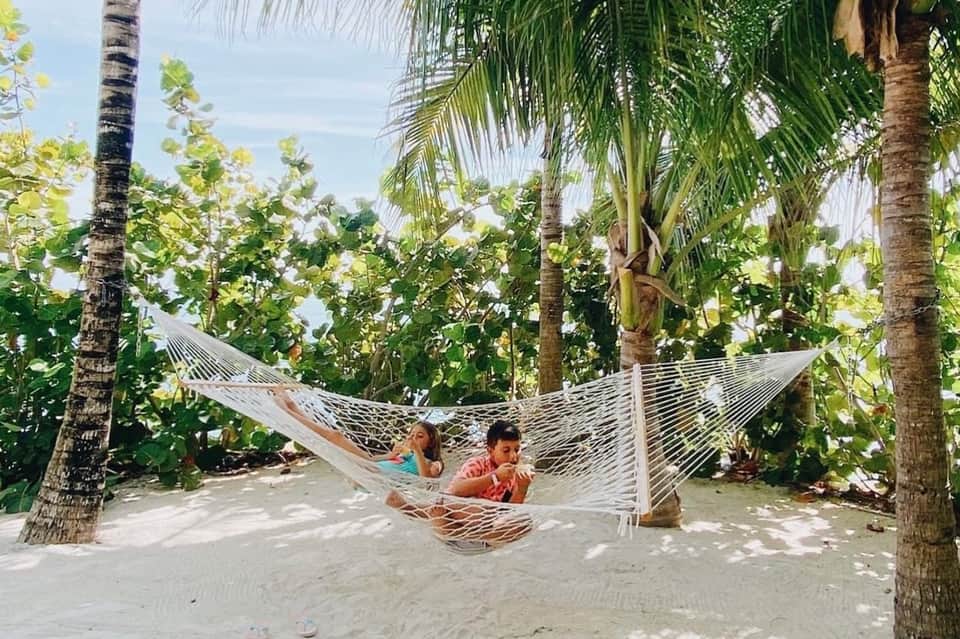 Couple relaxing in white hammock strung between palm trees on a sandy tropical beach