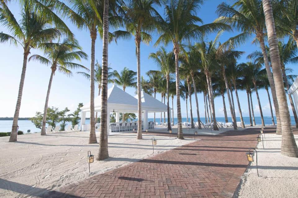 Beachfront pavilion with white roof surrounded by tall palm trees and sandy shore