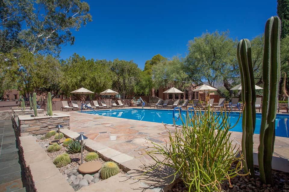 Desert resort pool area surrounded by cacti, umbrellas, lounge chairs, and native trees